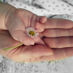 (写真提供・PIXABAY)